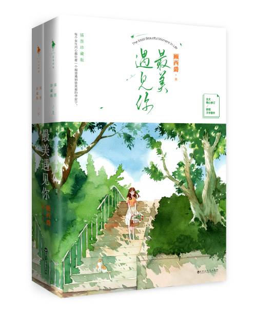 最美遇见你（2011年春风文艺出版社出版的图书）