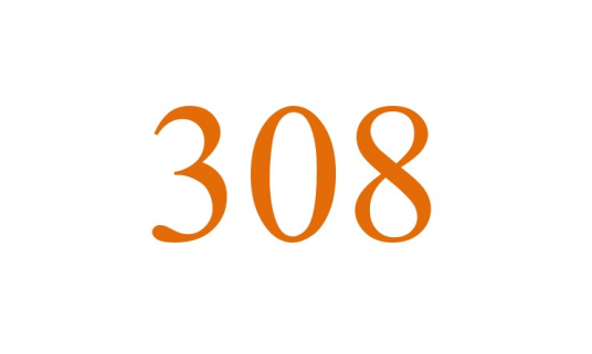 308（自然数）