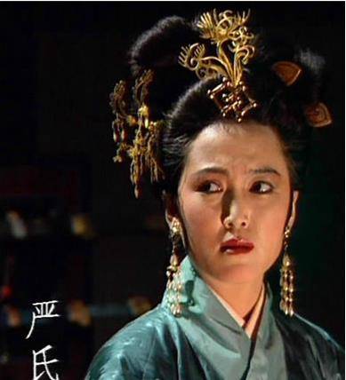 严夫人（三国志大战系列角色）