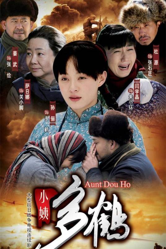 小姨多鹤（2009年孙俪、姜武等主演的年代剧）