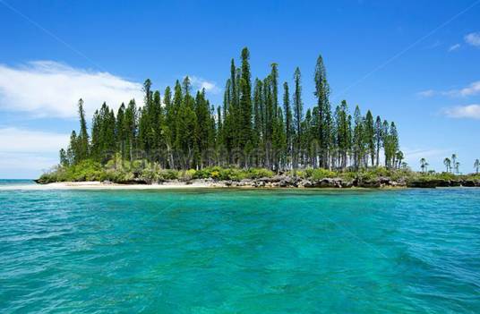 松岛（太平洋岛屿）