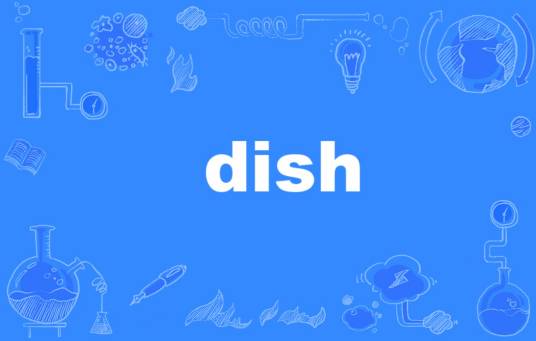 dish（英语单词）