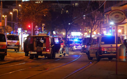 11·2维也纳教堂袭击事件