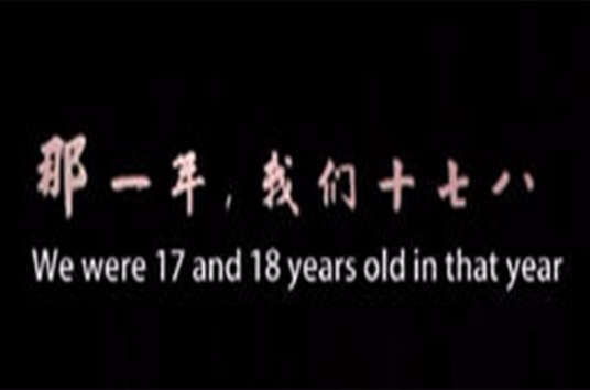 那一年，我们十七八岁（2011年薄开飞执导电影）