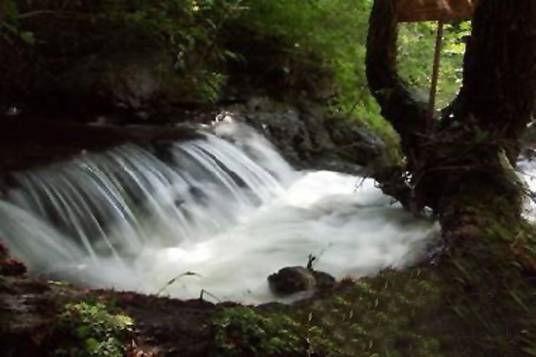 双龙洞国家森林公园