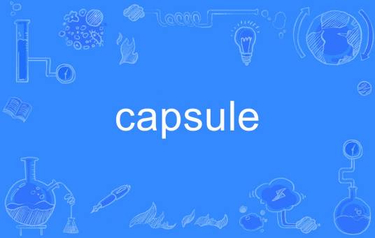 capsule（英语单词）