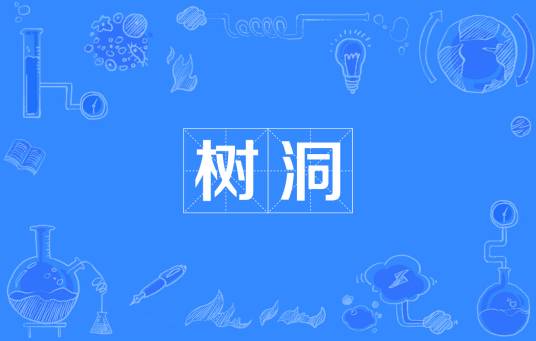 树洞（网络流行词）