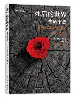 死后的世界：生命不息（2014年世界图书出版公司北京公司出版的书籍）