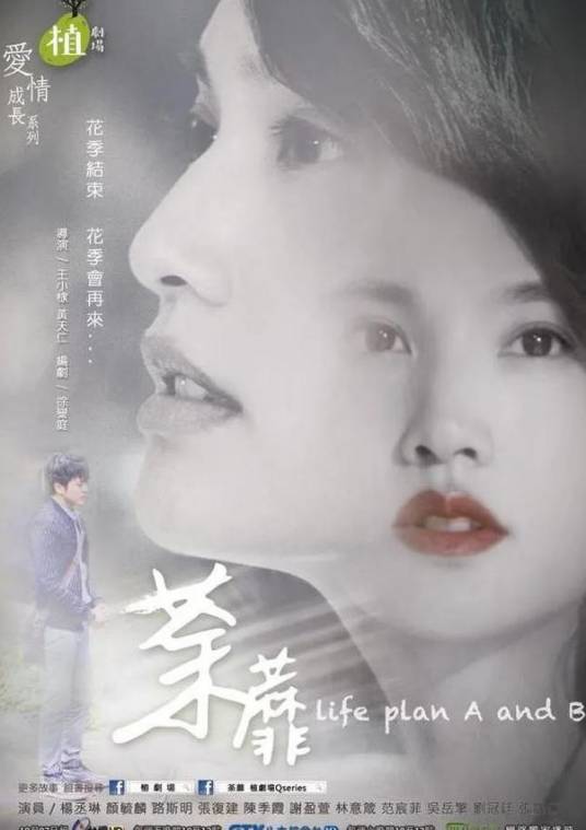 荼蘼（2016年王小棣、黄天仁执导的爱情电视剧）