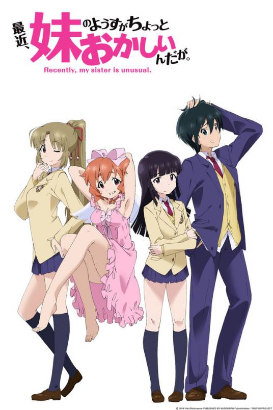 最近，妹妹的样子有点怪？（project No.9改编的电视动画）