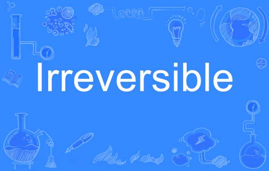 Irreversible（英语单词）