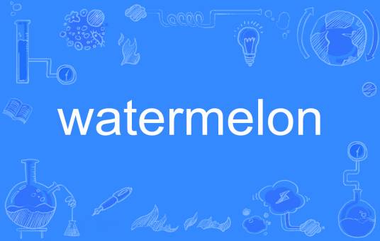 watermelon（英文单词）