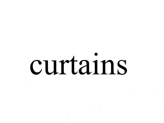 curtains（英语单词）