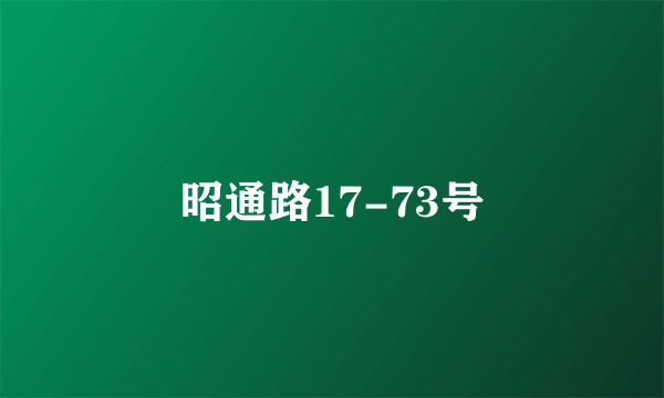 昭通路17-73号