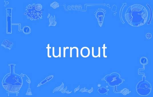 turnout（英语单词）