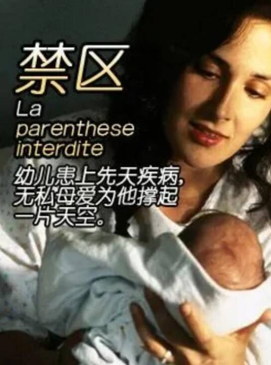 禁区（美国2003年大卫·戴尔里约执导电影）