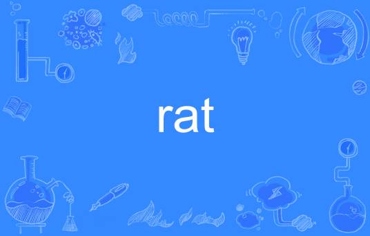 rat（英语单词）