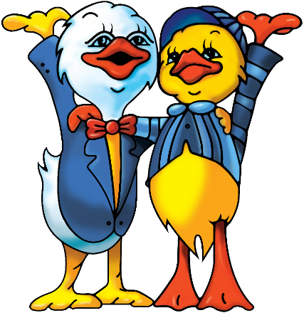 山东小鸭集团有限责任公司