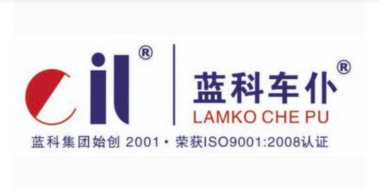 蓝科集团国际有限公司