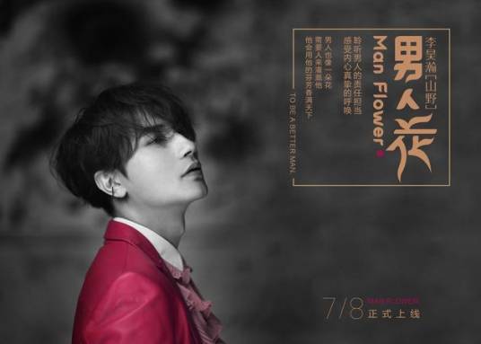 男人花（山野演唱歌曲）