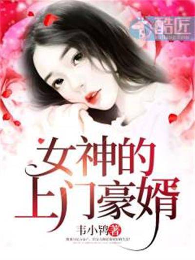 女神的上门豪婿(韦小鸨创作的网络小说)