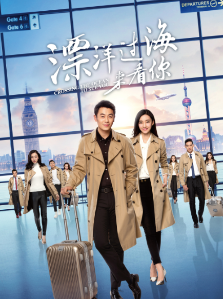 漂洋过海来看你（2017年朱亚文、王丽坤主演的都市爱情剧）