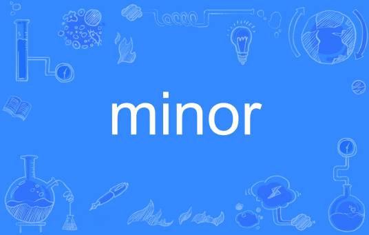 minor（英文单词）