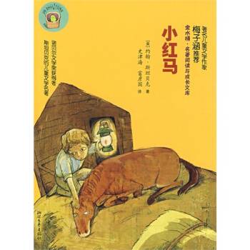 小红马（2009年浙江文艺出版社出版的图书）