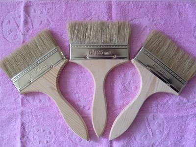 刷子（一种刷除污垢或涂抹用的工具）