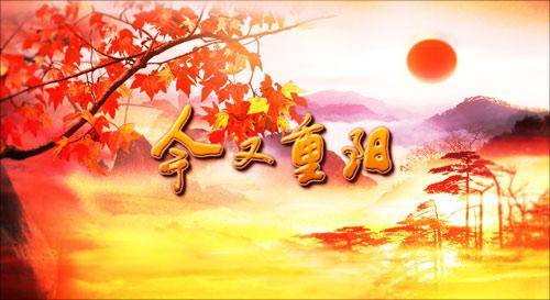 今又重阳（CCTV-10直播电视节目）
