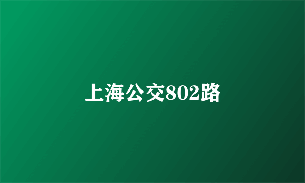 上海公交802路