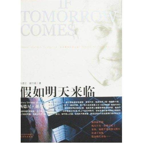 假如明天来临（美国西德尼·谢尔顿创作长篇小说）