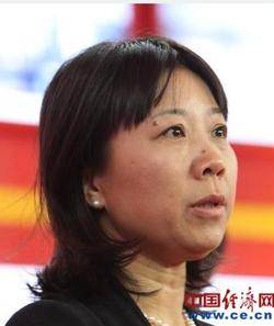 张哲英（原中国冶金科工股份有限公司副总工程师）