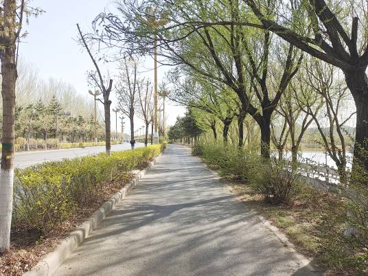 马路（汉语词语）