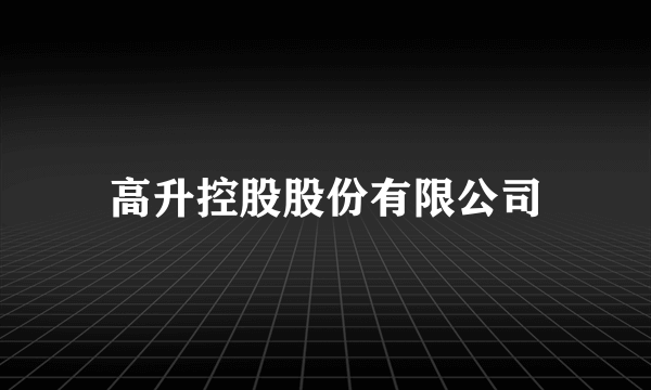 高升控股股份有限公司