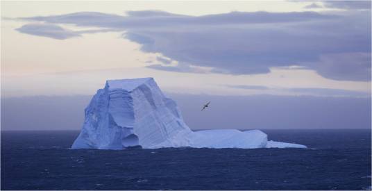 冰山（汉语词汇）
