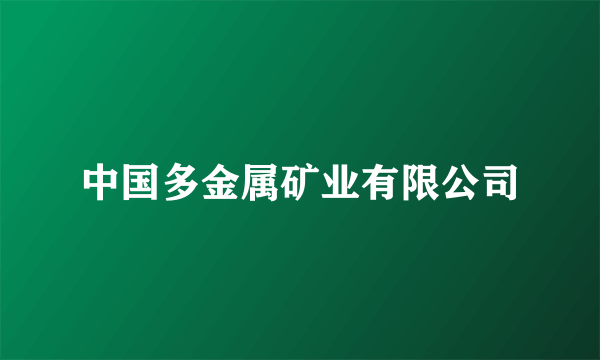 中国多金属矿业有限公司