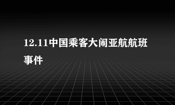 12.11中国乘客大闹亚航航班事件