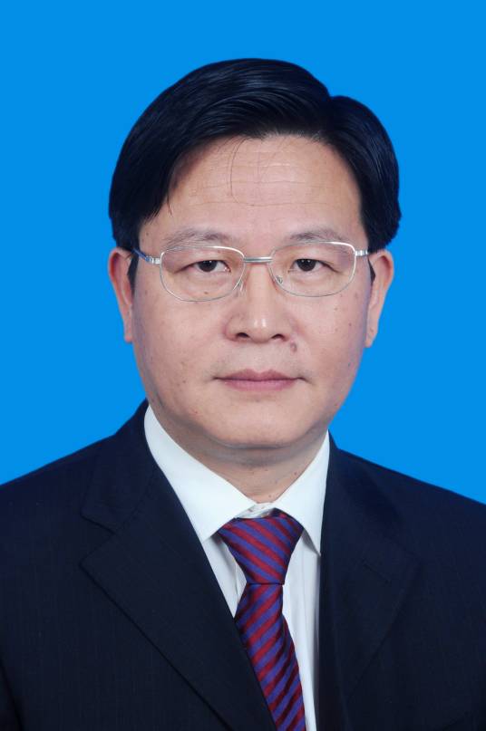 孟卫东（重庆大学原副校长）