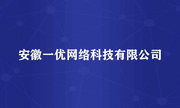 安徽一优网络科技有限公司