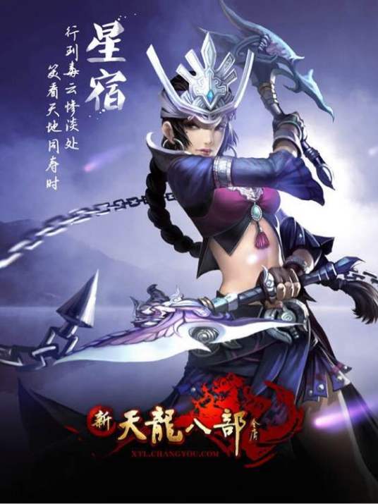 星宿（网游《新天龙八部》中的门派）