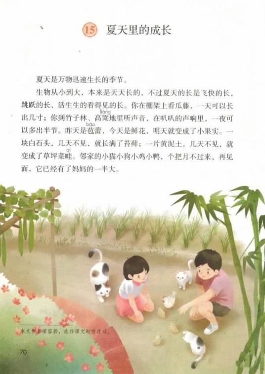 夏天里的成长