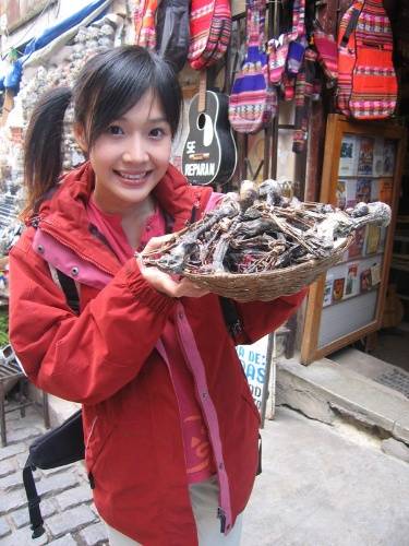 世界那么大（综艺节目）