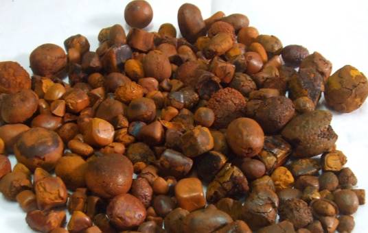 牛黄（牛科动物的胆囊结石）