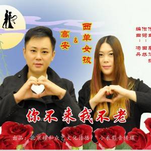 你不来我不老（西单女孩高安演唱的歌曲）