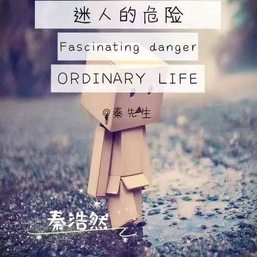 迷人的危险（秦浩然演唱的歌曲）