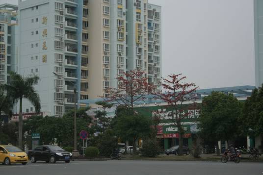 广海社区（广东省江门市台山市下辖社区）