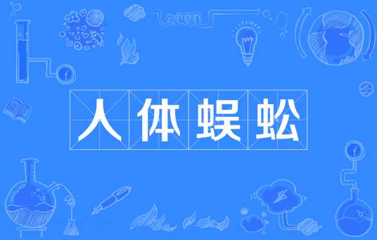 人体蜈蚣（网络流行词）
