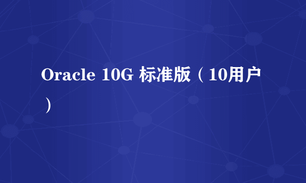 Oracle 10G 标准版（10用户）