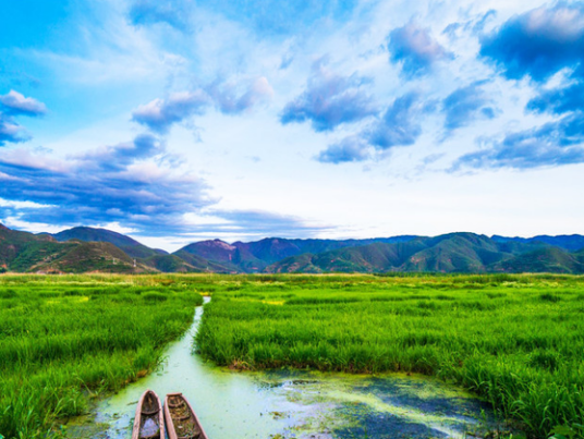 草海（四川泸沽湖草海）